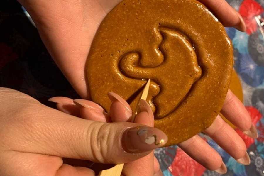 Квест в реальности Игра в кальмара от компании Футурамия Квест в реальности Игра в кальмара от компании Футурамия