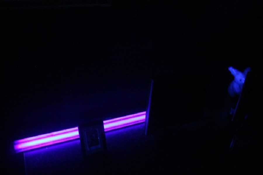 Квест в реальности Заражение от компании Lost room Квест в реальности Заражение от компании Lost room